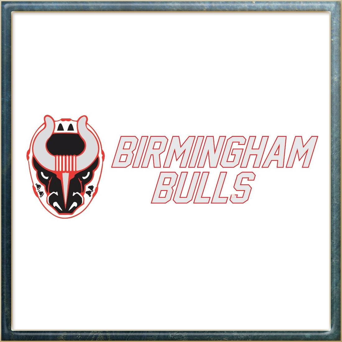 Meet the 2017-18 Birmingham Bulls hockey team 